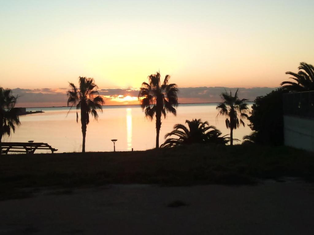 Miami Mar